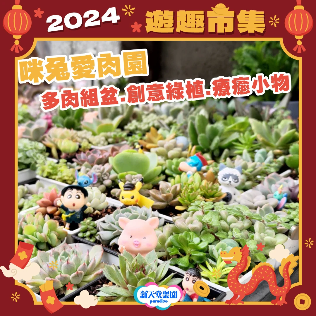 新天堂樂園園區影像