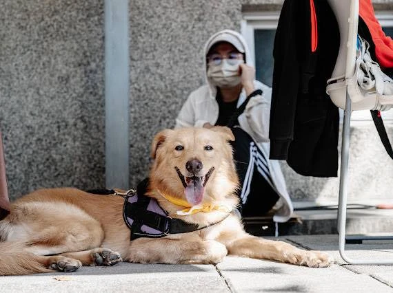 新天堂樂園園區影像