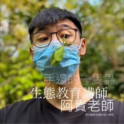 阿貴老師